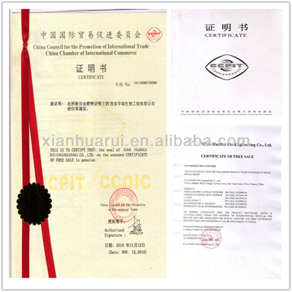 Aloe Extract in High Quality&Aloin 25%A+B