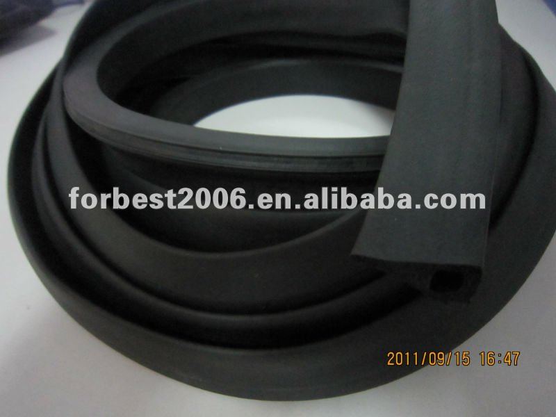 EPDM5.jpg