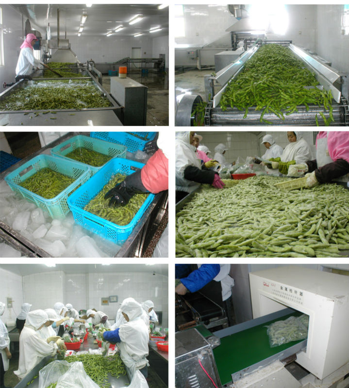 IQF Frozen Edamame Bean