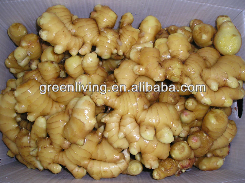 2012 fresh garlic ginger and onion