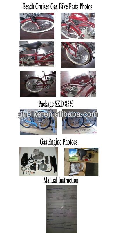 beach cruiser .jpg