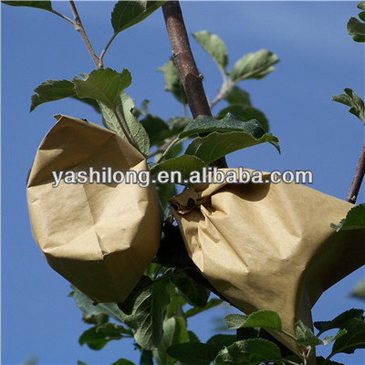 bags for growing trees apple in higher quality from China Factory
