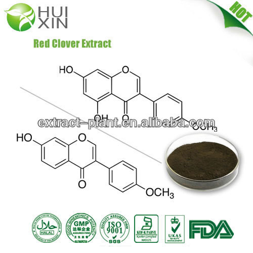 red clover extract