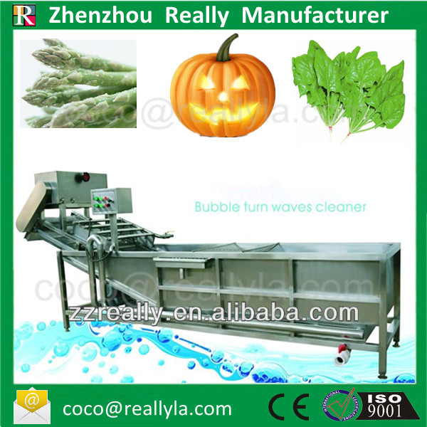 Bubble Vegetable and fruit cleaning machine processing line