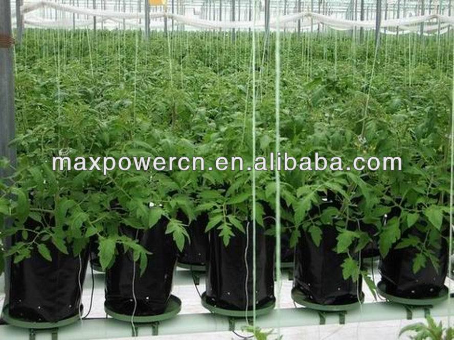 Greenhouse Hydroponic Growing System For Grow Tomato Buy Cheap greenhouse project in mp Greenhouse Hydroponic Growing System For Grow Tomato Buy Cheap greenhouse project in mp