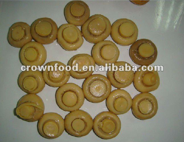 canned mushroom
