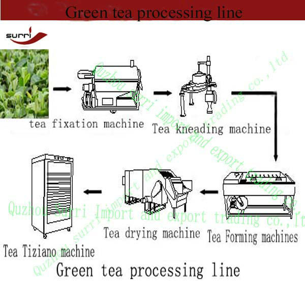 Surri green tea processing machine /tea processing machine/tea machine
