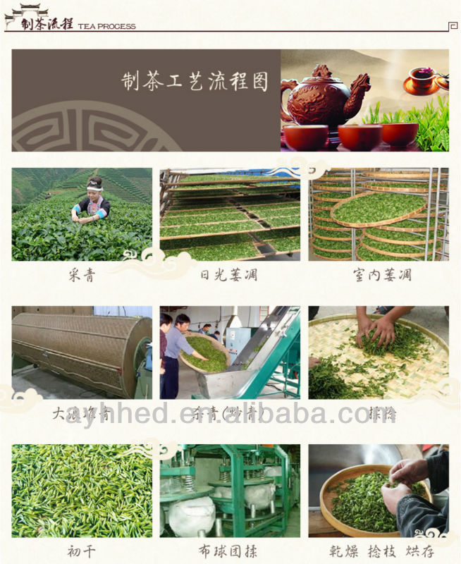 Taiwan High mountain Dong Ding Oolong Tea