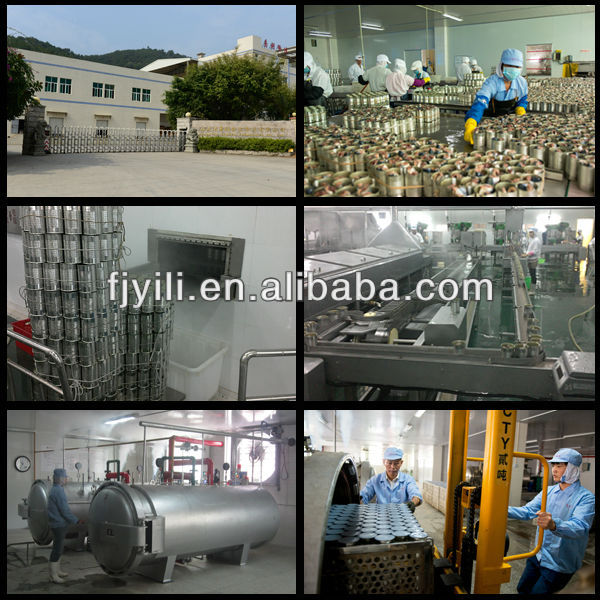 Export canned mackerel in tomato sauce to Africa