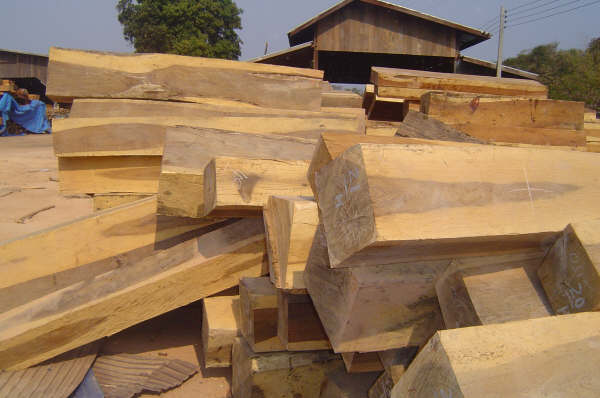 Padouk_Square_Timber_Laos_Origin.jpg