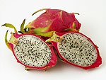 Dragon+fruit+plantation+in+sri+lanka