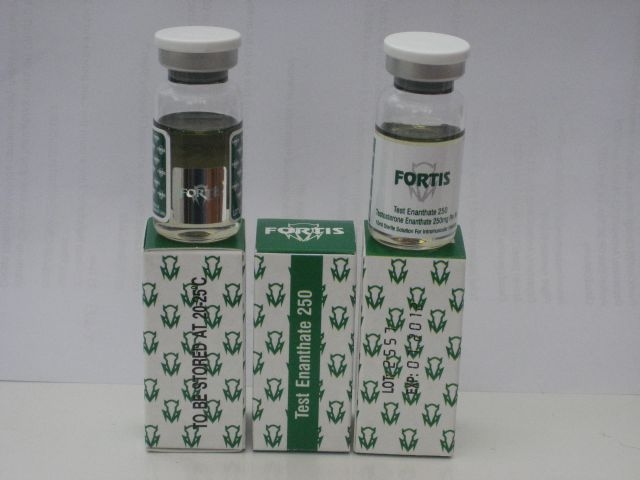 Fortis Labs