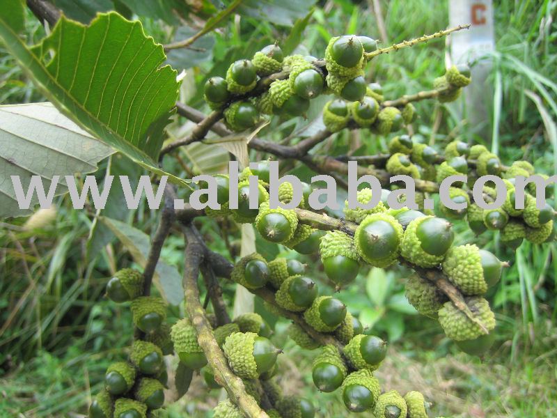 Contamination Of Air. No contamination , Fresh Air,