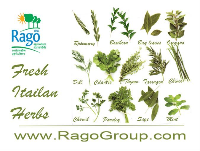 italian herbs