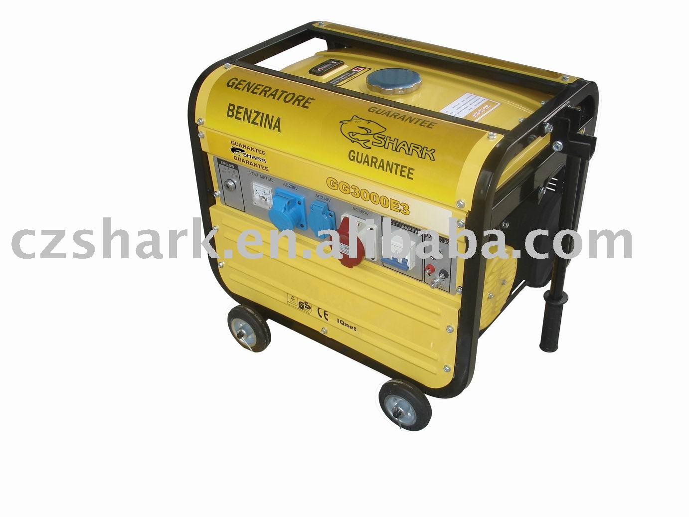 portable electric generator