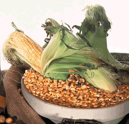 Cereals List
