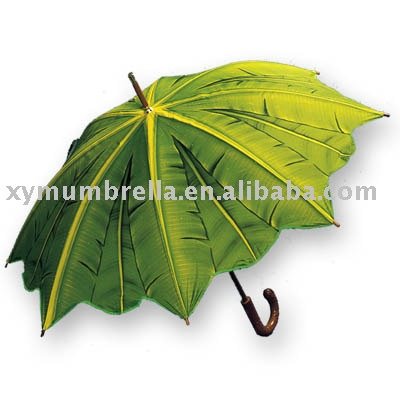 date palm tree fruit. palm tree umbrella. sturdy and durable, wooden handle and shaft.