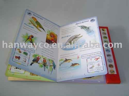 Wild Animals Book