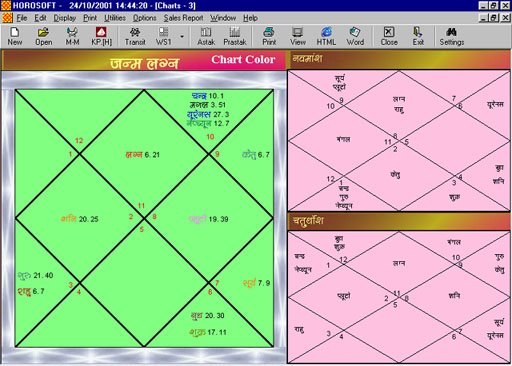 Professional Astrology Software Programs