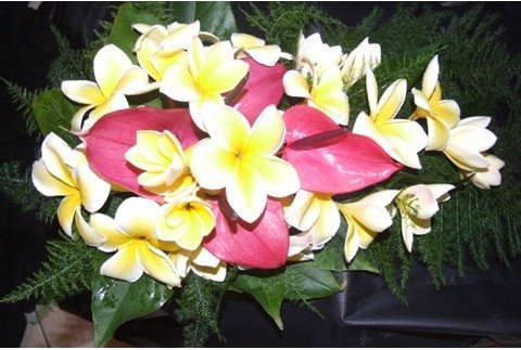 Flower arrangements for weddings in Vanuatu The tropical flowers of Vanuatu