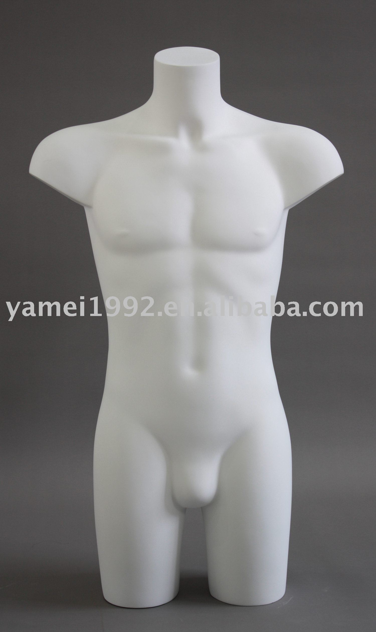 torso male