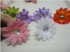 Daisy+flower+with+stem