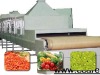 vegetable and fruit dehydrating machine