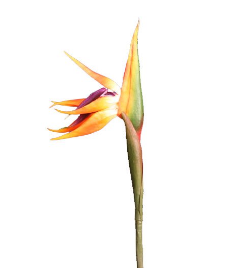 Bird Of ParadiseNatural Touch Latex Artificial Silk Flower