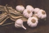 GARLIC ESSENTIAL OIL