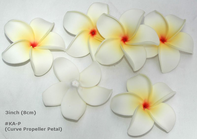 See larger image Foam Flowers Hawaiian Flowers 