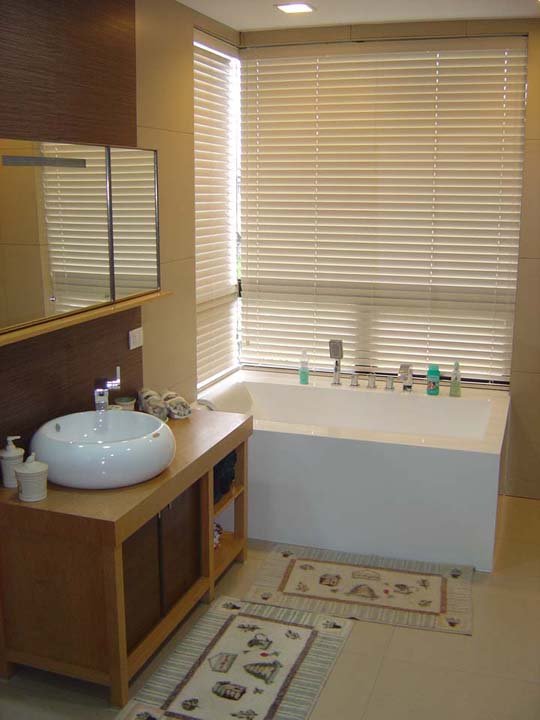 Dusche vorhang fenster: dusche fenster schatten kaufen ...