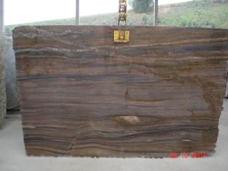 Petrified Wood Granite