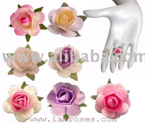 Flower Rose Wedding Supply