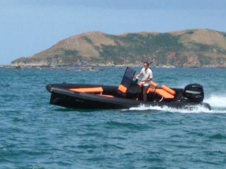 Rib Rigid Inflatable Boat
