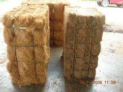 Palm Fibre