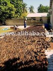 maldives dried fish