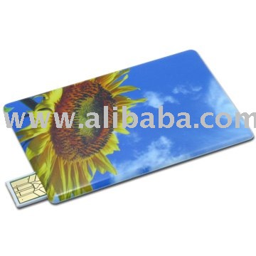 visa credit card. free driver visa credit card