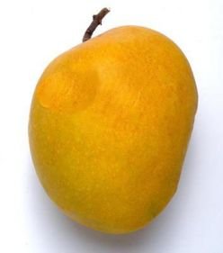 Alfonso Mango