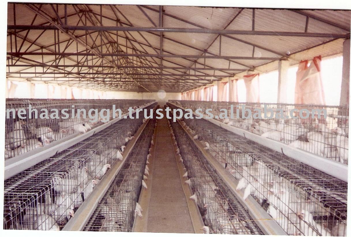 Poultry Cage