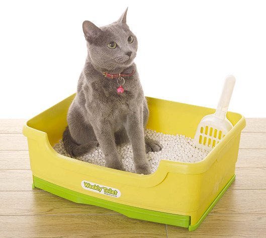 Cat Toilet Weekly Pet Product Sales, Buy Cat T