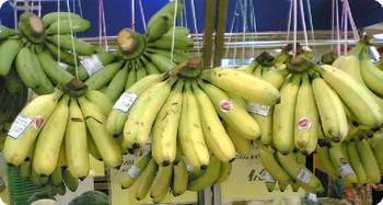 Banana price in malaysia An increased reliance on banana imports in Malaysia has driven market prices up by 30 per cent, according to a report from Malay Mail. The report suggests consumers in Kuala Lumpur are currently paying between RM4 and RM per kg for the popular .