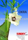 Fresh Fruits & Vegetables, Dry Foods