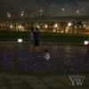 Decorative lighting