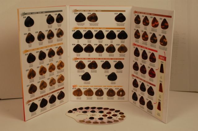 hairdressers colour chart. See larger image: Color Charts