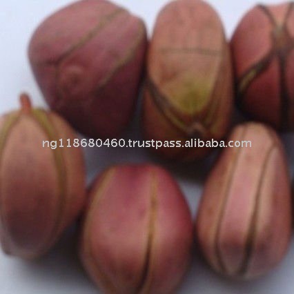 african kola nut