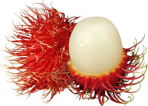 Nunca digas SI o NO o las palabras prohibidas... - Página 4 Organic_Rambutan