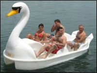 Swan_Pedalo.jpg