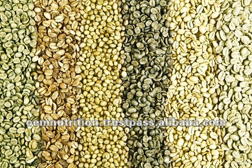 green coffee beans