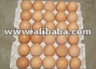 CHICKEN EGGS