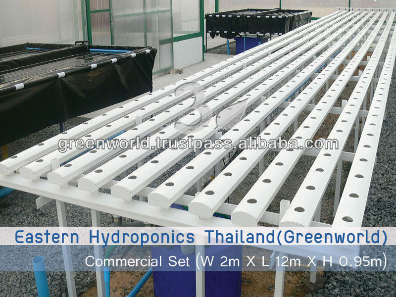 Hydroponics NFT 12 meters, View industrial hydroponic system, E-H2O ...